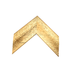 ACC/8004