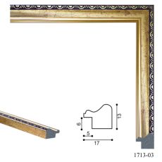 1713-03