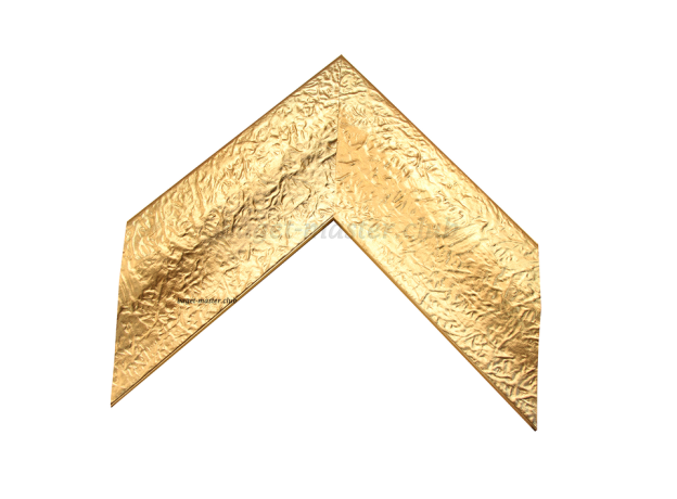 ACC/8004